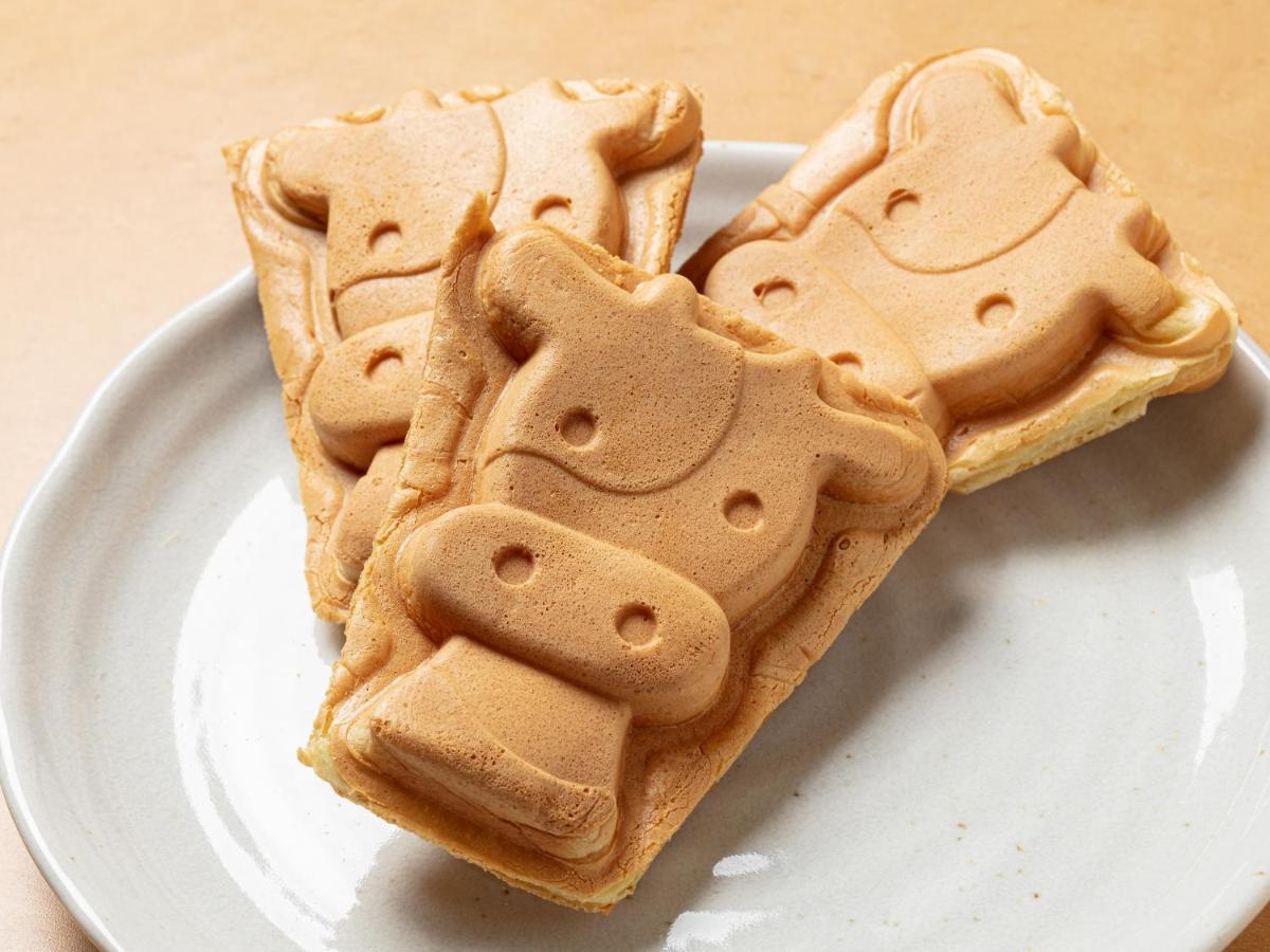 ホテル ホテルひがしもこと